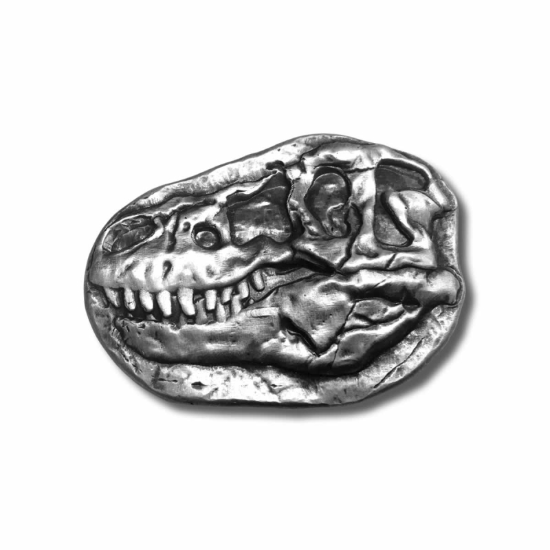 t rex fossil skull