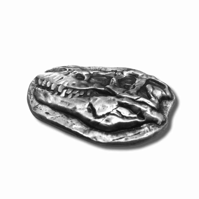 t rex fossil skull