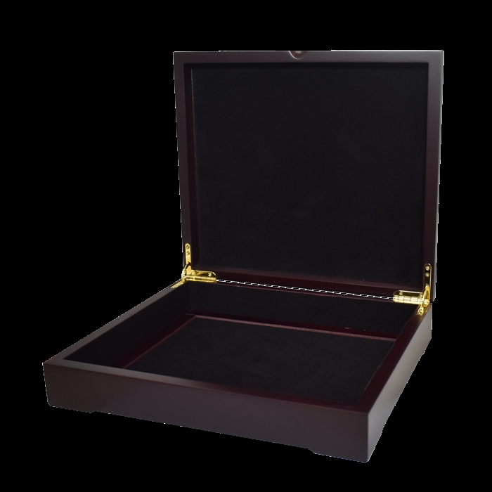 Guardhouse Wood Two Tray Display Box Holds 12 Coins