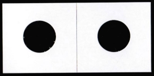 2" x 2" Nickel Cardboard Coin Holder - 100 Count